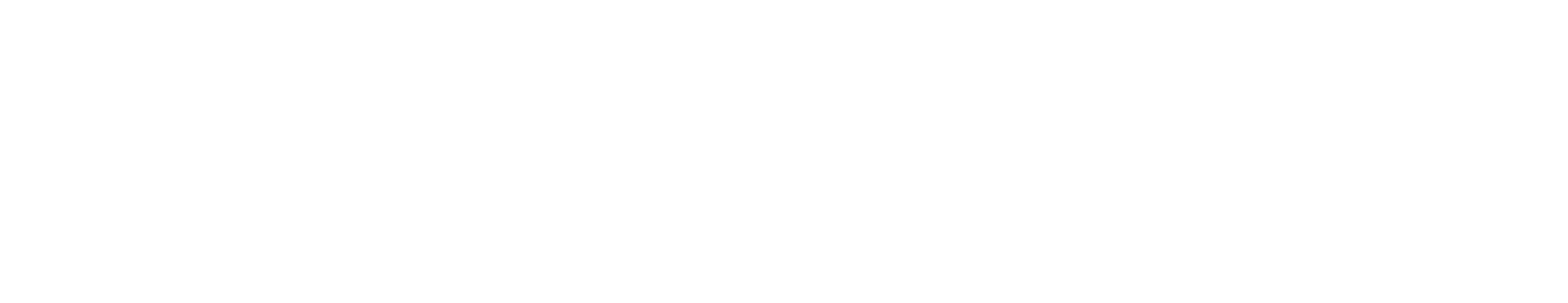 MERIDIANX.AI - Navigate AI Better